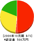 ズアン社 貸借対照表 2008年10月期