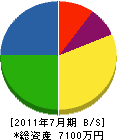 高沢電設工業 貸借対照表 2011年7月期