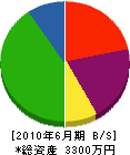 渡辺石彫工房 貸借対照表 2010年6月期