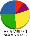 片岡電気 貸借対照表 2012年4月期