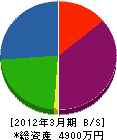 池田電気工事店 貸借対照表 2012年3月期