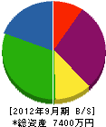 松本電気商会 貸借対照表 2012年9月期