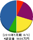 井川造園 貸借対照表 2010年5月期