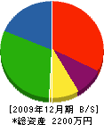 横川組 貸借対照表 2009年12月期