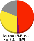 岸田工業 損益計算書 2012年1月期