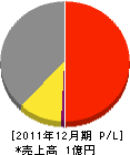 掛田工務店 損益計算書 2011年12月期