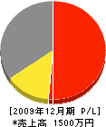 大島技巧 損益計算書 2009年12月期