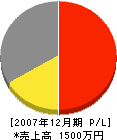 篠原鉄工所 損益計算書 2007年12月期