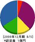 四国塗装 貸借対照表 2008年12月期