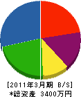 大塚給水工業 貸借対照表 2011年3月期