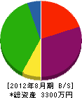 伊藤水道工業所 貸借対照表 2012年8月期
