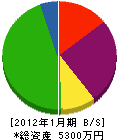 東磐グリーン 貸借対照表 2012年1月期