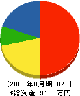 碓井組 貸借対照表 2009年8月期