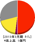 日本ヒーティングサービス 損益計算書 2013年3月期
