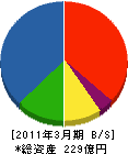 新笠戸ドック 貸借対照表 2011年3月期