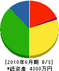 成田産業 貸借対照表 2010年6月期
