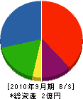 大坂塗装工業所 貸借対照表 2010年9月期