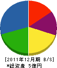 タイホー 貸借対照表 2011年12月期