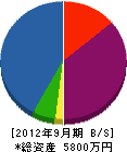 太田造園土木 貸借対照表 2012年9月期