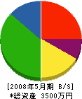 松信電気商会 貸借対照表 2008年5月期