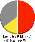 阪神特機サービス 損益計算書 2012年7月期