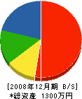 佐野工務店 貸借対照表 2008年12月期