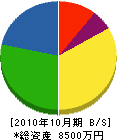 勝谷商店 貸借対照表 2010年10月期