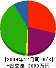 石川成美堂 貸借対照表 2009年12月期