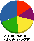 池田商店 貸借対照表 2011年1月期