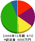 佐藤技建 貸借対照表 2008年12月期