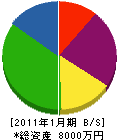 矢野建材工業 貸借対照表 2011年1月期