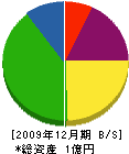 青野組 貸借対照表 2009年12月期
