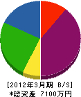 平田工務店 貸借対照表 2012年3月期