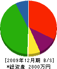 松本建設 貸借対照表 2009年12月期