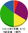 渡辺組 貸借対照表 2012年5月期