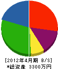 大和田造園 貸借対照表 2012年4月期