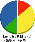 宮崎技建 貸借対照表 2012年6月期