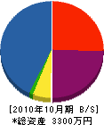藤和塗装工業 貸借対照表 2010年10月期