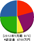 琉電コントロール 貸借対照表 2012年5月期