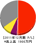 岩隈電工 損益計算書 2011年12月期