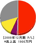 タダノ塗装 損益計算書 2008年12月期