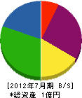 平井鉄骨 貸借対照表 2012年7月期