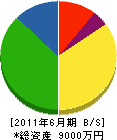 須藤建設 貸借対照表 2011年6月期