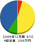 片山造園 貸借対照表 2009年12月期