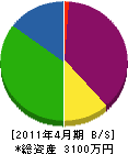 大川造園 貸借対照表 2011年4月期