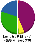 田中汽缶工業 貸借対照表 2010年9月期