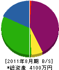 藤沢園芸 貸借対照表 2011年8月期