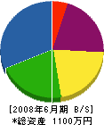金井電気 貸借対照表 2008年6月期