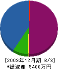 藤井木工 貸借対照表 2009年12月期