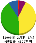鈴木畳店 貸借対照表 2009年12月期